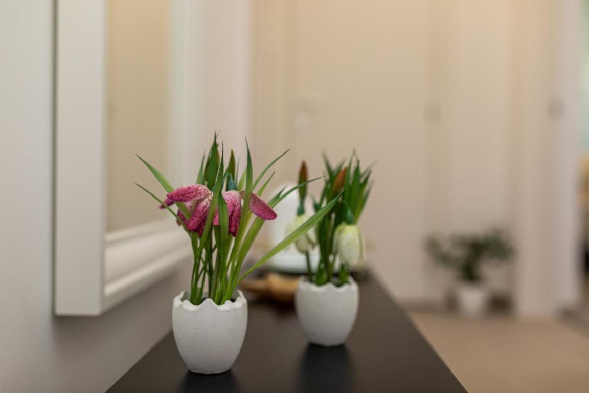 Apartman Grzetic Šilo Dış mekan fotoğraf